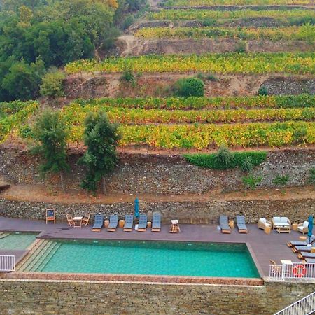 Quinta De Travassinhos- Douro Valley & Spa Santa Marta de Penaguião Exteriör bild