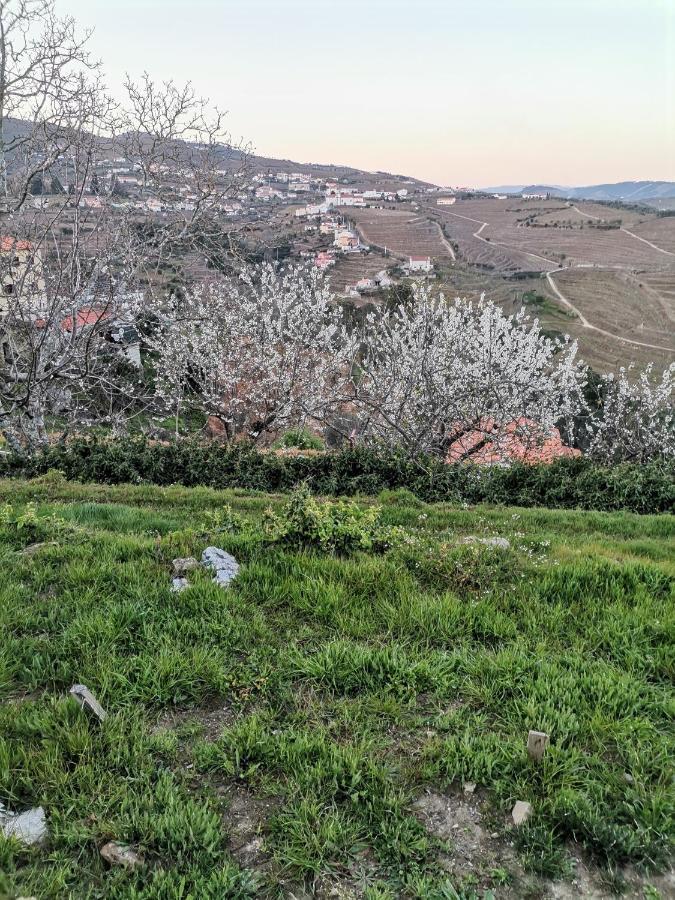 Quinta De Travassinhos- Douro Valley & Spa Santa Marta de Penaguião Exteriör bild