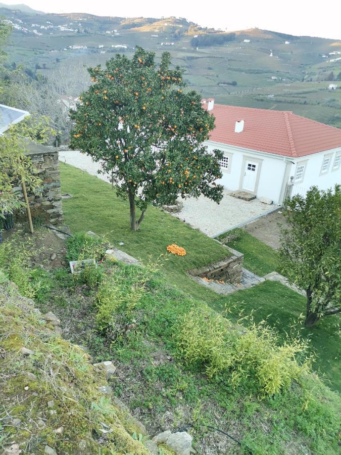 Quinta De Travassinhos- Douro Valley & Spa Santa Marta de Penaguião Exteriör bild
