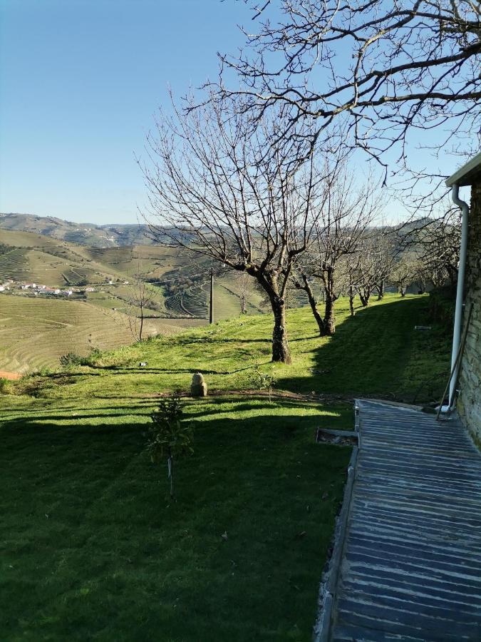 Quinta De Travassinhos- Douro Valley & Spa Santa Marta de Penaguião Exteriör bild
