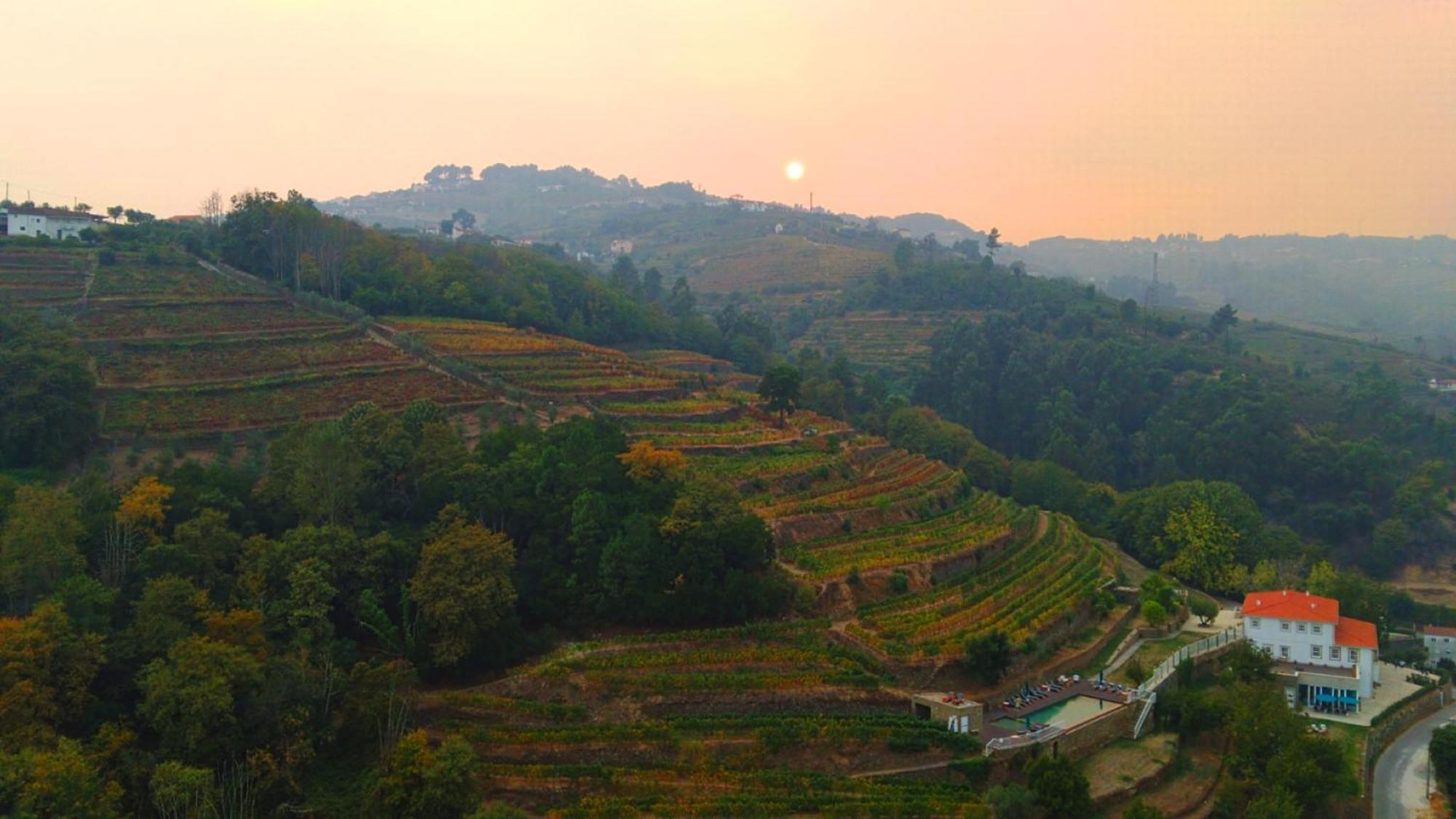 Quinta De Travassinhos- Douro Valley & Spa Santa Marta de Penaguião Exteriör bild