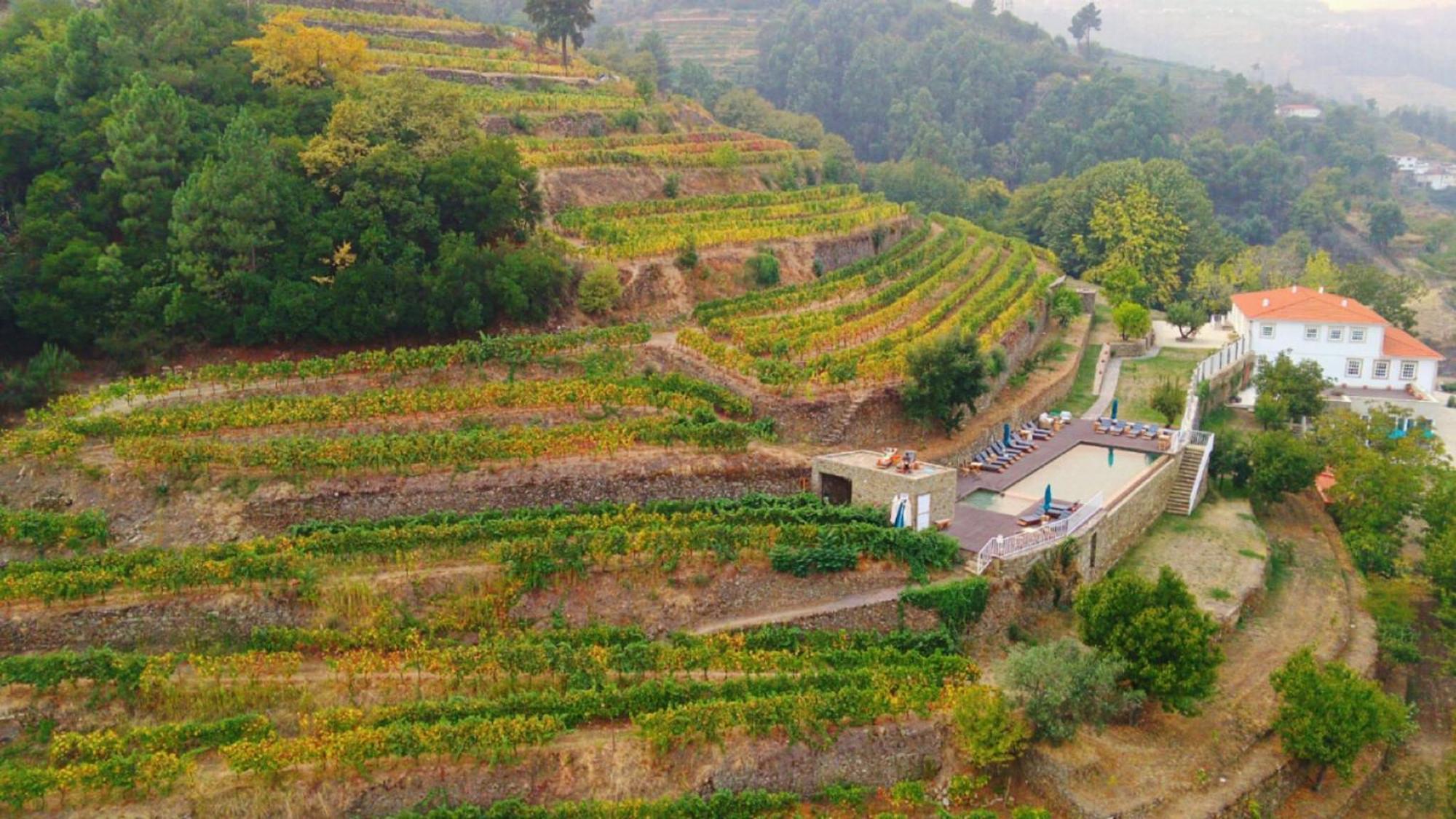 Quinta De Travassinhos- Douro Valley & Spa Santa Marta de Penaguião Exteriör bild